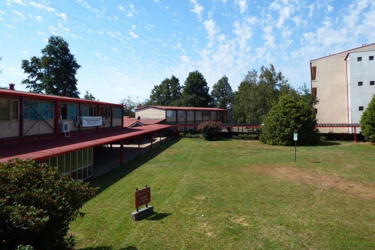 Foto facultad